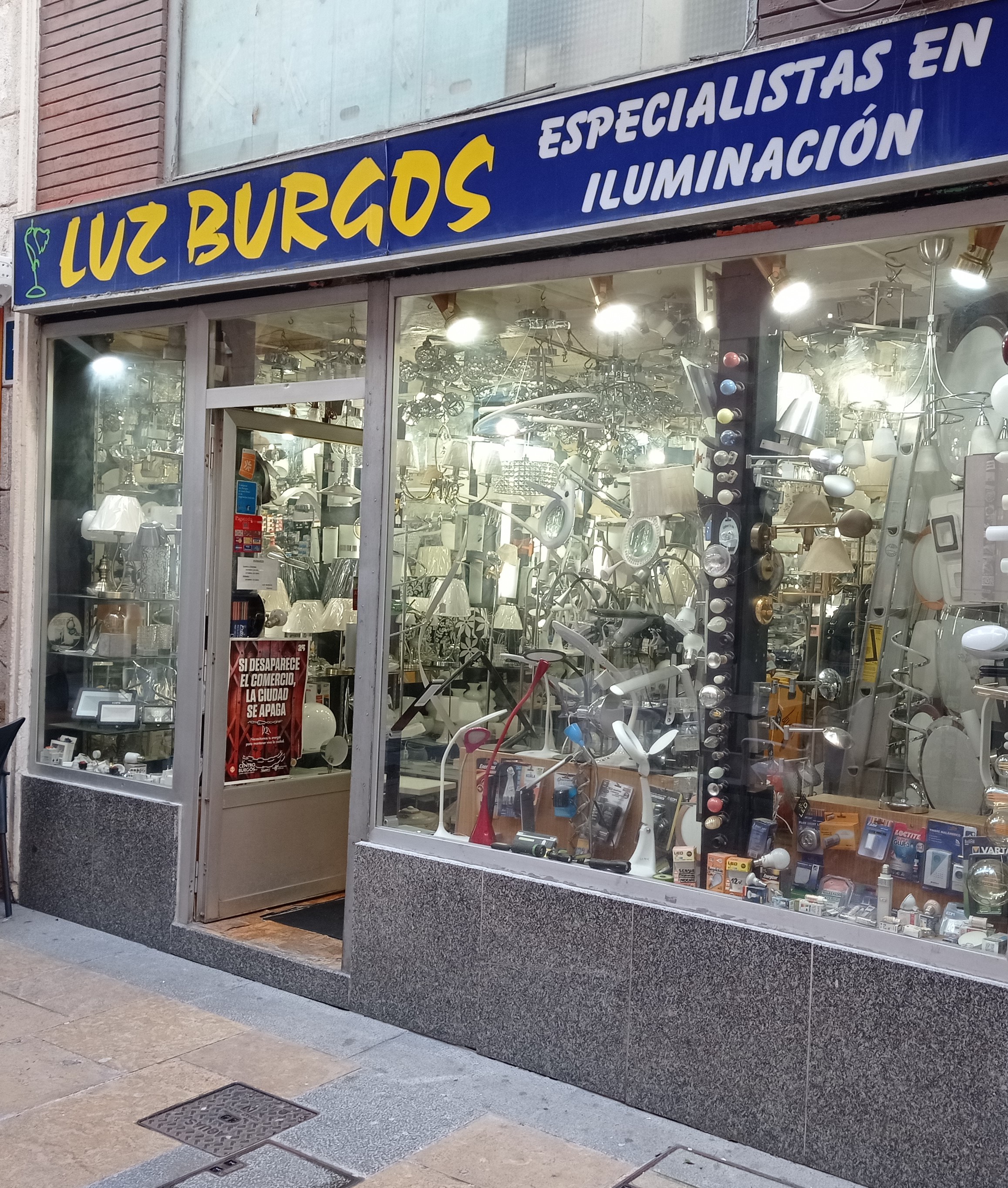 Luz Burgos